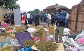 Polícia moçambicana incinerou 46 quilogramas de droga apreendida em Maputo