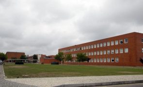 Universidade de Aveiro vai voltar a ter curso de Medicina