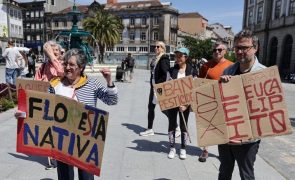 Dezenas de pessoas marcharam no Porto pela biodiversidade