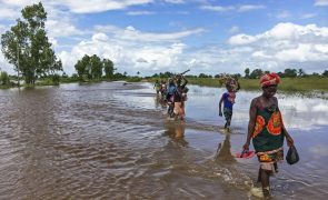 El Niño deixa 33 mil famílias sob ameaça de fome na província moçambicaba de Sofala