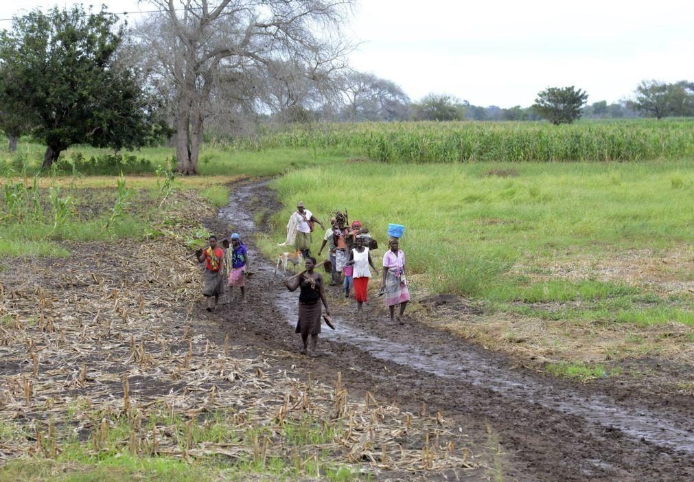 Insegurança alimentar atinge cerca de mil famílias em distrito no sul de Moçambique