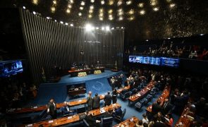 Parlamento do Brasil aprova artigo sobre aborto apesar do veto de Lula da Silva