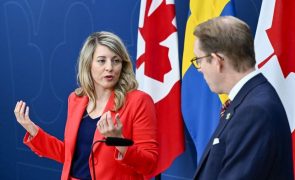 Canadá admite que Kiev use armas para atacar solo russo