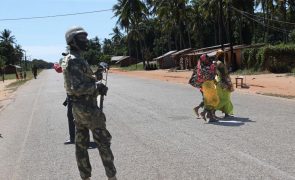 População encontra corpos de supostos terroristas em Mocímboa da Praia