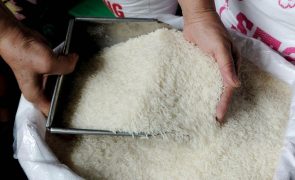 Brasil importa 263,37 mil toneladas de arroz face a inundações no sul