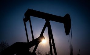 AIE alerta para risco de excesso de produção de petróleo de nível histórico até 2030