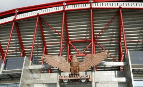 Benfica altera segunda assembleia-geral para o Estádio da Luz devido à afluência
