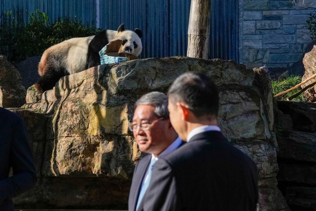 Primeiro-ministro chinês promete mais pandas e pede 