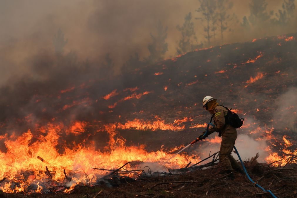 Relatório alerta para possibilidade de fogos 