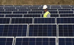 Zelensky quer instalação de painéis solares em escolas e hospitais
