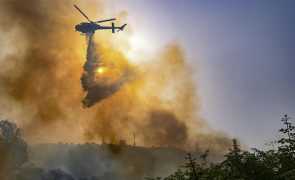 Concelho de Tavira em risco máximo de incêndio