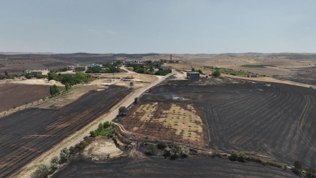 Número de mortos nos incêndios na Turquia sobe para 14