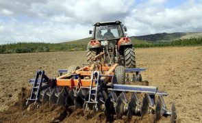 Agricultura com perto de 21 ME pagos até junho