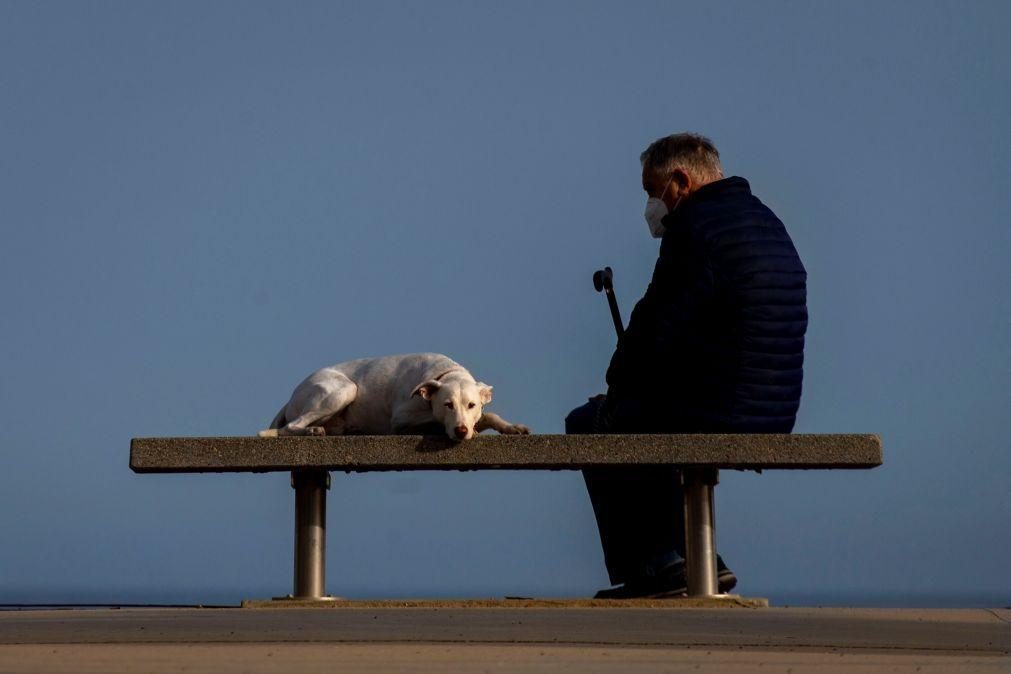 Câmara de Lisboa aprova criação de cemitério municipal para animais de companhia