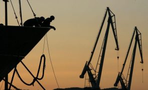 Canadá retira proibição da pesca do bacalhau na Terra Nova após mais de 30 anos