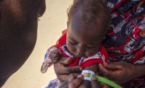 Número de crianças com grave escassez de alimentos duplicou em seis meses no Sudão