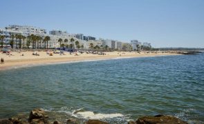 Detidos seis suspeitos de burla de 40 ME no setor imobiliário do Algarve