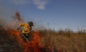 Autoridades brasileiras denunciam mão humana nos incêndios do Pantanal