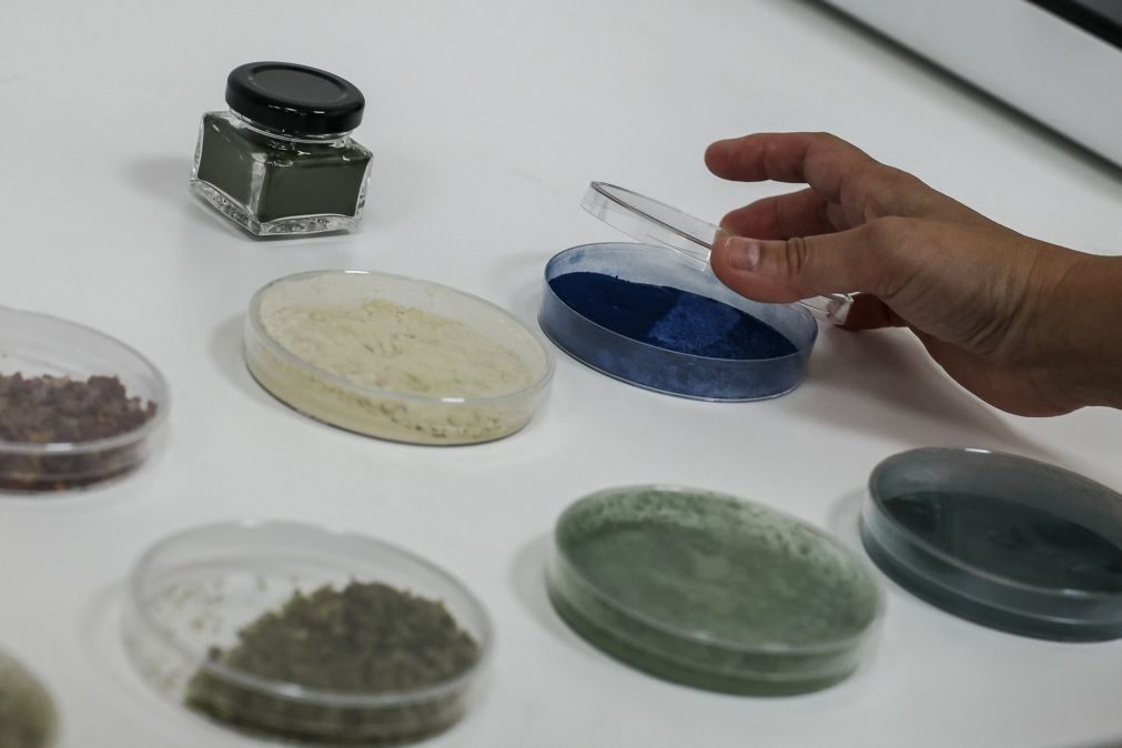 Laboratório no Algarve quer ser polo na utilização industrial de algas