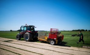 GNR registou 602 acidentes com veículos agrícolas que causaram 40 mortos em 2023