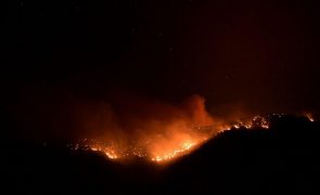 Grécia reforça equipas de combate a incêndios com bombeiros estrangeiros