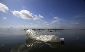 Mais de 5,5 milhões de toneladas de plástico entraram nos oceanos este ano