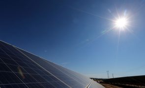 Associação Zero contesta central solar em Ferreira do Alentejo e avaliação ambiental
