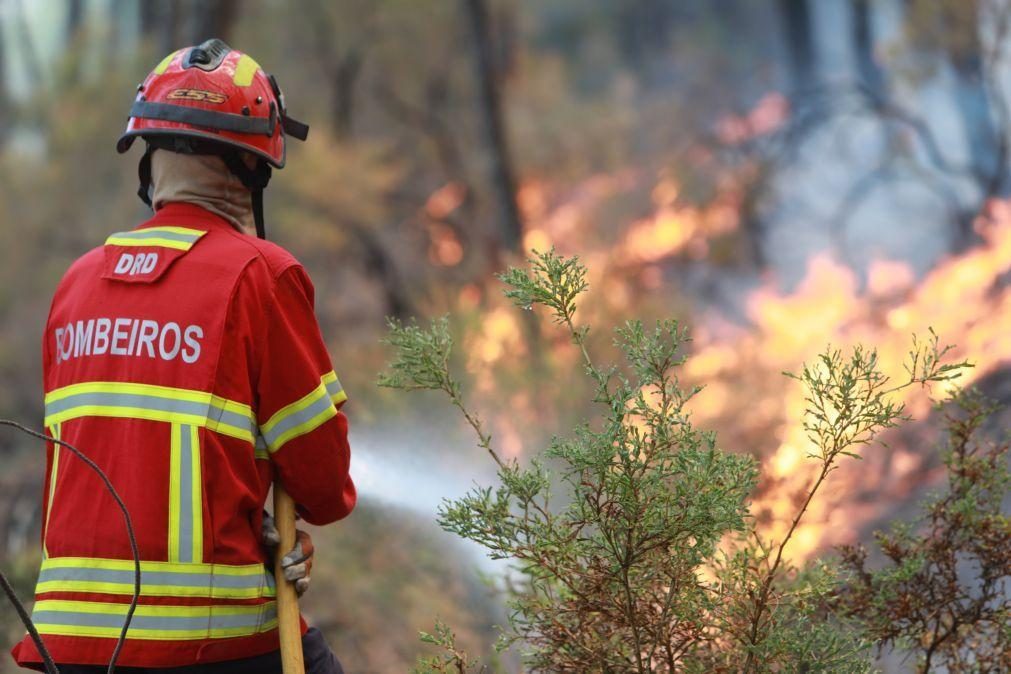 Dezoito concelhos de Faro, Bragança e Portalegre em perigo máximo de incêndio