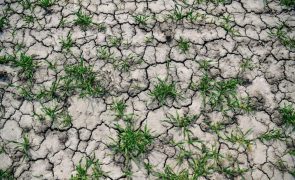 Seca meteorológica diminuiu em junho, mas intensidade agravou no sotavento