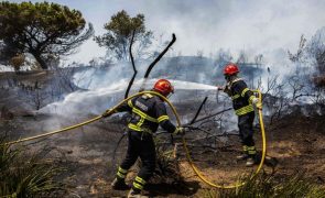 Número de fogos do primeiro semestre é o mais baixo desde 2014