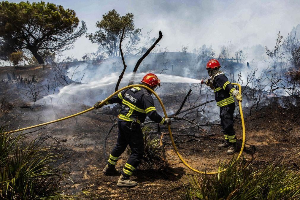 Número de fogos do primeiro semestre é o mais baixo desde 2014