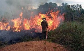 Governo do Brasil diz que foram apagados metade dos incêndios no bioma Pantanal