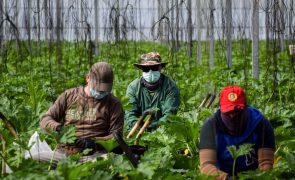 CAP defende atração de imigrantes e pacto para habitação para evitar 