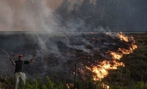 Município de Ourém já despendeu mais de 1 ME para colmatar danos de 2022