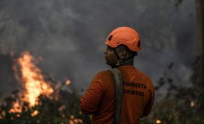 Fogos florestais atingiram 4,48 milhões de hectares no Brasil em 2024