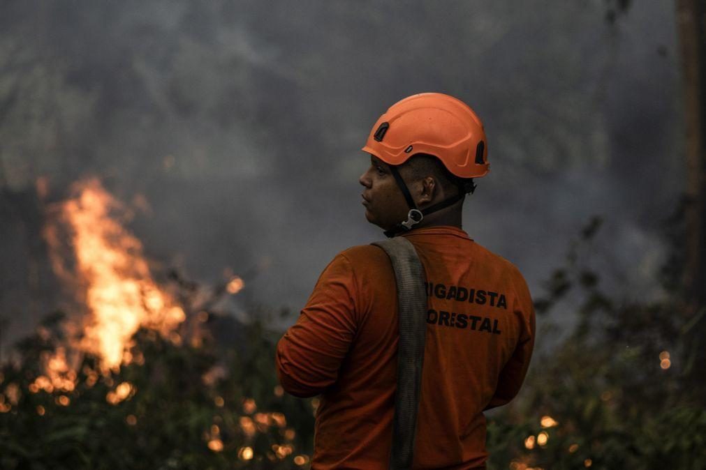 Fogos florestais atingiram 4,48 milhões de hectares no Brasil em 2024