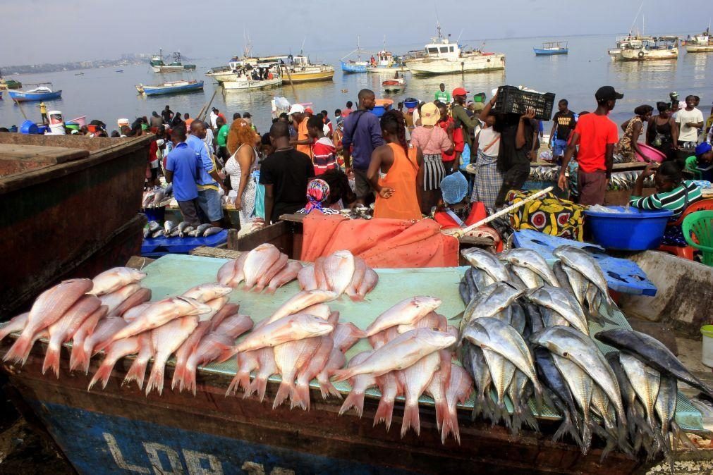 Angola perde anualmente 211 milhões de euros com a pesca ilegal