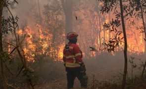 Fogo em Pombal mobiliza 295 operacionais e sete meios aéreos