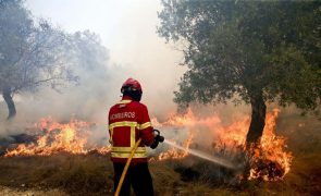 Mais de 200 operacionais combatem fogo em Alcabideche