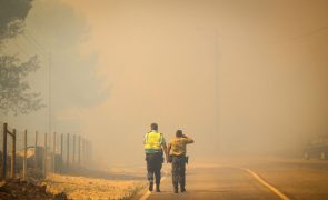 Seis bombeiros com ferimentos sem gravidade em Alcabideche