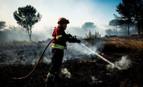 Proteção Civil alerta para risco de incêndio rural com temperaturas nos 40 graus