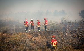 Três incêndios em Leiria e Batalha mobilizam mais de 300 operacionais