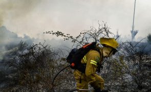 Fogos em Leiria e na Batalha em resolução e vigilância