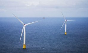 Martifer e empresa da EDP e Engie fecham parceria para concurso eólico 'offshore'