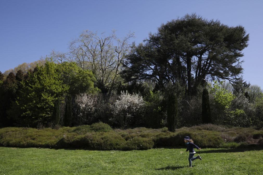 Festival Boil junta arte, humor e ciência em Serralves contra alterações climáticas