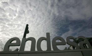 Lucro da Endesa cai 9% para 800 ME no primeiro semestre