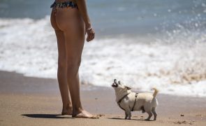 Desaconselhada ida a banhos nas praias Seca e da Frente Azul em Espinho