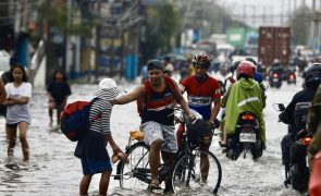 Alterações climáticas podem matar até 14,5 milhões até 2050 - estudo