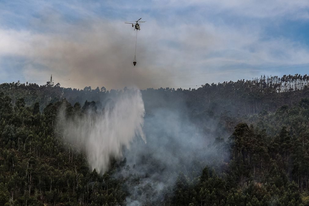 Perigo máximo de incêndio rural em mais de 50 concelhos do continente