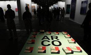 Obras das artistas Ana Jotta e Sara Bichão adquiridas pela Fundação ARCO